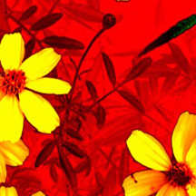 团购优惠的免费ddos在线攻击测试网站