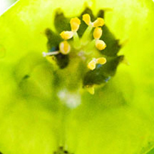 网页DDOS攻击平台